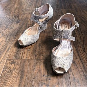 Miss Albright • Neta snakeskin wedge heel peep toe bridge grey leather
